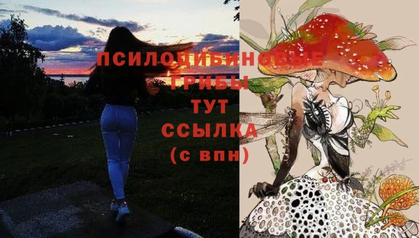 МДПВ Абдулино